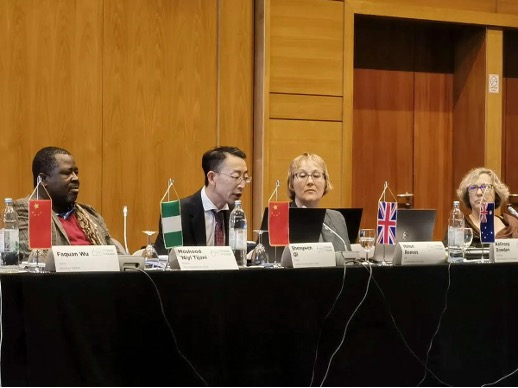 Researcher Shengwen Qi Elected as Vice President of IAEG, Leading Asian Affairs